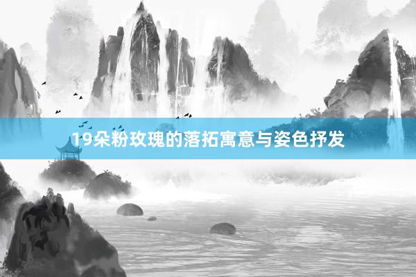 19朵粉玫瑰的落拓寓意与姿色抒发