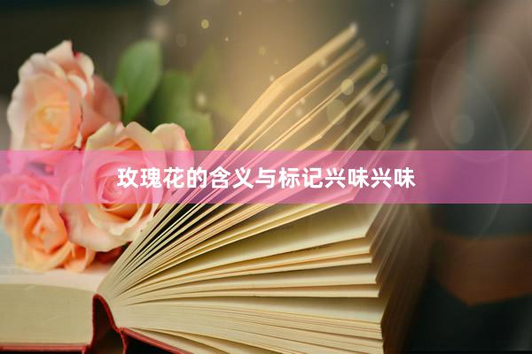 玫瑰花的含义与标记兴味兴味