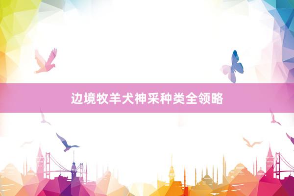 边境牧羊犬神采种类全领略